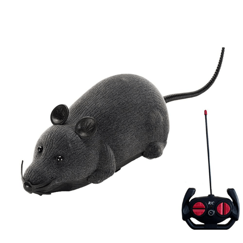 Mouse with remote control