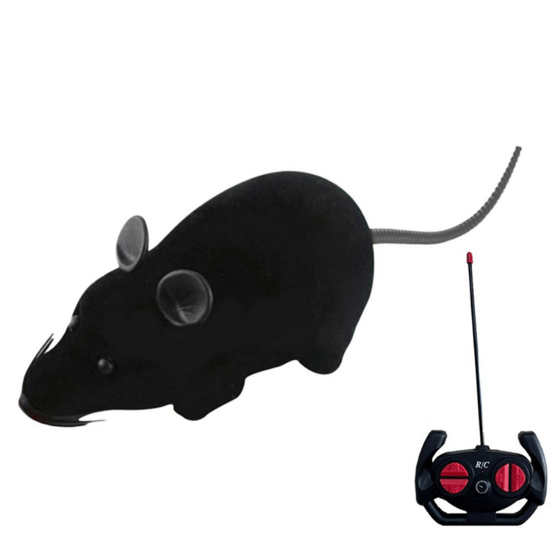 Mouse with remote control