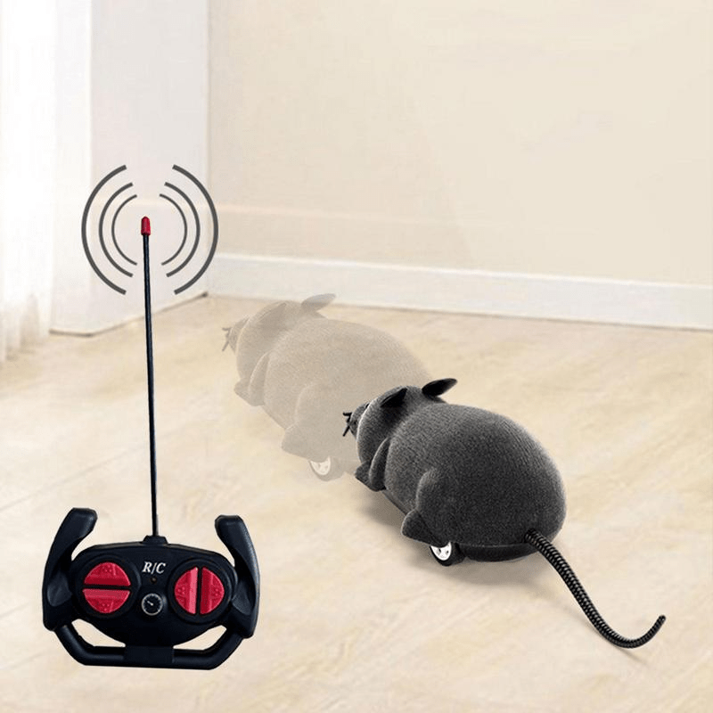 Mouse with remote control